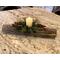 Unfinished logs are cut and ready to be made into a rustic Christmas decoration. Faux greenery and berries fill a vintage nail bucket. 